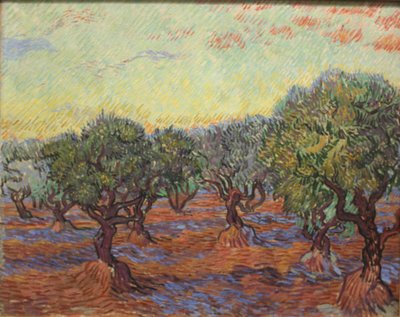 Olive Grove by Vincent van Gogh